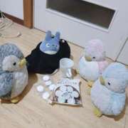 ヒメ日記 2026/02/13 13:03 投稿 ひなみ 熟女デリヘル倶楽部