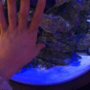 ヒメ日記 2026/02/02 12:03 投稿 若葉 日和 人妻セレブ宮殿