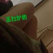 ヒメ日記 2026/02/23 14:50 投稿 (スタン)茎わかめ 風俗イキタイいわき店