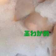 ヒメ日記 2026/03/28 20:20 投稿 (スタン)茎わかめ 風俗イキタイいわき店