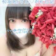 ヒメ日記 2026/02/24 22:56 投稿 花咲ちなつ 大人めシンデレラ 新横浜店（シンデレラグループ）