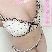 ヒメ日記 2026/02/24 06:45 投稿 おもち ていくぷらいど.学園