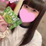 ヒメ日記 2026/03/23 15:26 投稿 おもち ていくぷらいど.学園