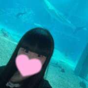 ヒメ日記 2026/04/22 07:02 投稿 おもち ていくぷらいど.学園