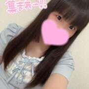 ヒメ日記 2026/05/28 07:04 投稿 おもち ていくぷらいど.学園