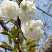 ヒメ日記 2026/04/03 17:13 投稿 たまみ 2980円