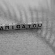 ヒメ日記 2026/03/13 21:16 投稿 【熟女】きょうこ 人妻華道－上田店