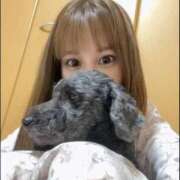 ヒメ日記 2026/04/17 00:32 投稿 れもん The White