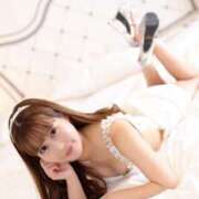 ヒメ日記 2026/04/19 15:30 投稿 れもん The White