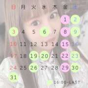 ヒメ日記 2026/04/22 17:11 投稿 れもん The White