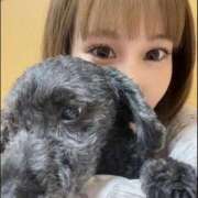 ヒメ日記 2026/05/01 14:33 投稿 れもん The White