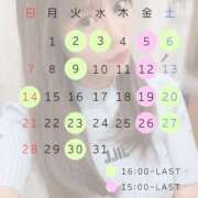 ヒメ日記 2026/05/23 16:09 投稿 れもん The White