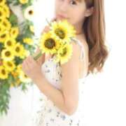 ヒメ日記 2026/07/04 15:43 投稿 れもん The White