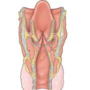 ヒメ日記 2026/04/28 21:19 投稿 らんこ 恋愛生欲情の扉