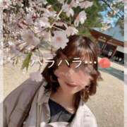 ヒメ日記 2026/02/23 19:11 投稿 Momo Momose PRECIOUS