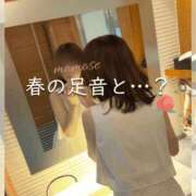 ヒメ日記 2026/02/25 13:21 投稿 Momo Momose PRECIOUS