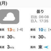 ヒメ日記 2026/03/02 06:01 投稿 Momo Momose PRECIOUS
