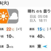 ヒメ日記 2026/04/14 06:01 投稿 Momo Momose PRECIOUS
