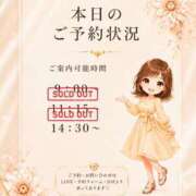 ヒメ日記 2026/07/29 07:31 投稿 Momo Momose PRECIOUS