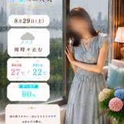 ヒメ日記 2026/08/29 06:21 投稿 Momo Momose PRECIOUS