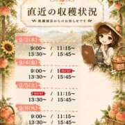 ヒメ日記 2026/09/02 19:51 投稿 Momo Momose PRECIOUS
