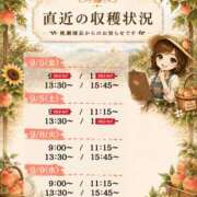 ヒメ日記 2026/09/04 00:41 投稿 Momo Momose PRECIOUS