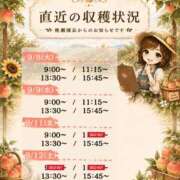ヒメ日記 2026/09/07 17:21 投稿 Momo Momose PRECIOUS