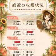 ヒメ日記 2026/09/08 18:01 投稿 Momo Momose PRECIOUS