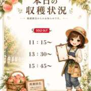 ヒメ日記 2026/09/09 10:31 投稿 Momo Momose PRECIOUS