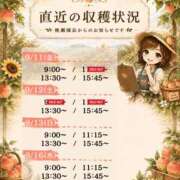 ヒメ日記 2026/09/09 17:41 投稿 Momo Momose PRECIOUS