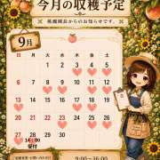 ヒメ日記 2026/09/26 21:11 投稿 Momo Momose PRECIOUS
