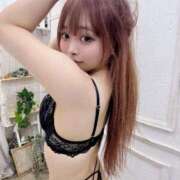 うに しゅっ🦖🐾 ピュアコス学園