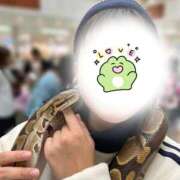 ヒメ日記 2026/07/30 19:38 投稿 さな 成田富里インターちゃんこ