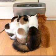 ヒメ日記 2026/02/01 22:01 投稿 藤原 錦糸町おかあさん