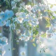 くもり♦PREMIUM ずっとなんてほど儚いものはなかった Blue Moon