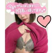 ヒメ日記 2026/03/31 15:27 投稿 さら★気品溢れる妖艶美女★ Bell～S級美女お姉様・人妻デリヘル～