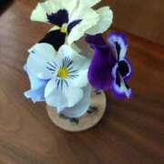 ヒメ日記 2026/02/01 21:30 投稿 藤原 松戸おかあさん