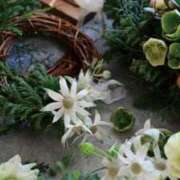 ヒメ日記 2026/03/04 07:40 投稿 保科 みらい こあくまな熟女たち三河店（KOAKUMAグループ）