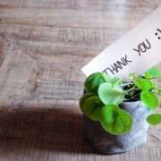 ヒメ日記 2026/03/11 14:54 投稿 保科 みらい こあくまな熟女たち三河店（KOAKUMAグループ）