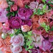 ヒメ日記 2026/03/14 14:35 投稿 保科 みらい こあくまな熟女たち三河店（KOAKUMAグループ）