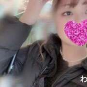 ヒメ日記 2026/03/19 10:12 投稿 わかな Seirenes (セイレネス)