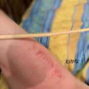 ヒメ日記 2026/03/28 18:02 投稿 わかな Seirenes (セイレネス)