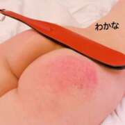 ヒメ日記 2026/04/03 17:32 投稿 わかな Seirenes (セイレネス)