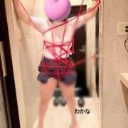 ヒメ日記 2026/05/07 21:52 投稿 わかな Seirenes (セイレネス)