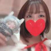 わかな 暑、、 Seirenes (セイレネス)