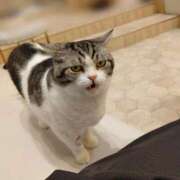 ヒメ日記 2026/03/21 07:01 投稿 ララ ピュアコス学園