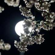 ヒメ日記 2026/04/06 08:30 投稿 ララ ピュアコス学園