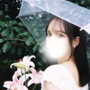 ヒメ日記 2026/04/13 02:55 投稿 加賀美　もも OL精薬