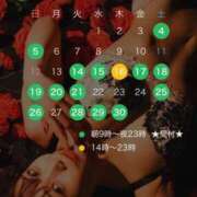 ヒメ日記 2026/04/03 11:01 投稿 みさき THE ESUTE 五反田店