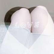 ヒメ日記 2026/02/11 19:02 投稿 しずね 池袋人妻ヒットパレード（シンデレラグループ）